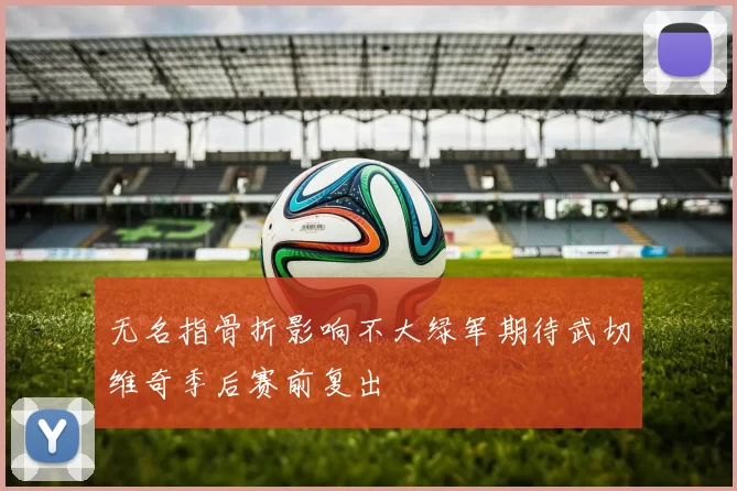 无名指骨折影响不大绿军期待武切维奇季后赛前复出